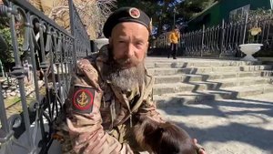 Против Эвтаназии Животных