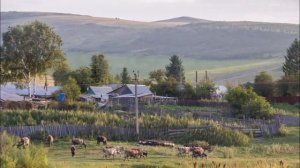 АВГУСТ 2022 Риддер (Аркадий Уалханов)