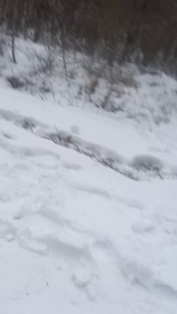 Зима холода