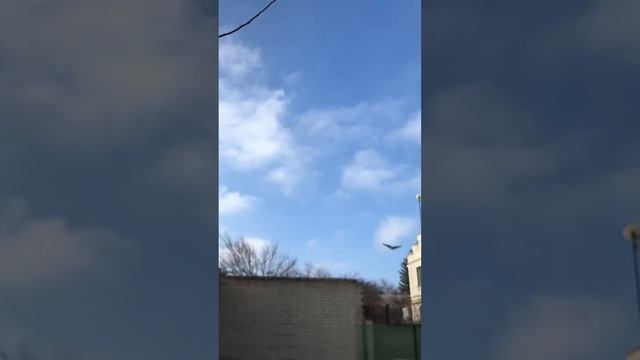 Турецкая Такла в Пятигорске.24.01.23. Дисциплина это сила😁✋ смотреть онлайн