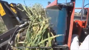 HD 4 рядный комбайн для уборки чеснока JJBroch