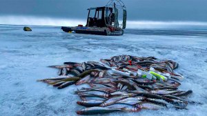 Крупная Корюшка Финского залива | Опасный лёд и труднодоступные места.