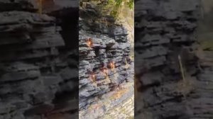 РОД И РОДОВЫЕ ПРОГРАММЫ , НЕ ВОЗМОЖНО ОТСЕЧЬ ИЛИ ПОЧИСТИТЬ РОД,  ЭТО БРЕД !