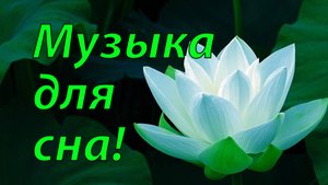 🌿 ЛЕГКАЯ КАК ЛЕТНИЙ БРИЗ МУЗЫКА ДЛЯ РЕЛАКСАЦИИ 🎵 ТРОГАТЕЛЬНАЯ МУЗЫКА ДЛЯ СНА 🎵 ДЛЯ МЕДИТАЦИИ
