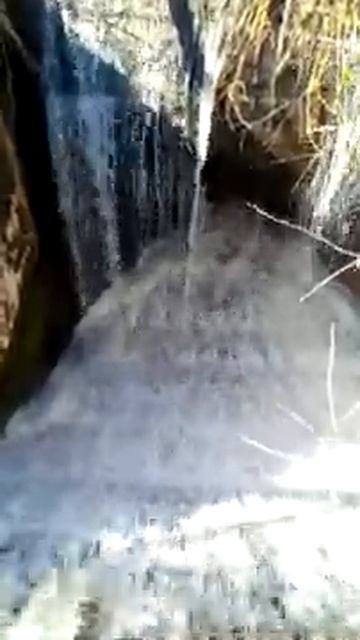 дамба #short #shortvideo #shorts смотреть онлайн