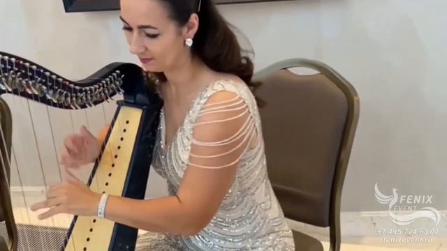 Заказать струнный коллектив на праздник в Москве - живая музыка на свадьбу, юбилей и встречу гостей