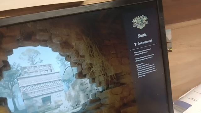 video5341469410911608163 1