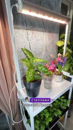 Почему наши стеллажи для рассады имеют такое влагостойкое покрытие и гарантию 2 года?