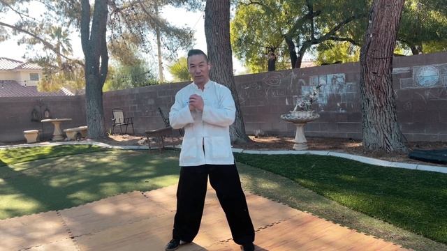 tiger kung fu for beginners / tiger basics , combo , self defense , conditioning / 虎拳 смотреть онлайн