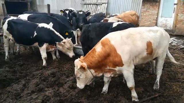 3 июля 2021 г. смотреть онлайн