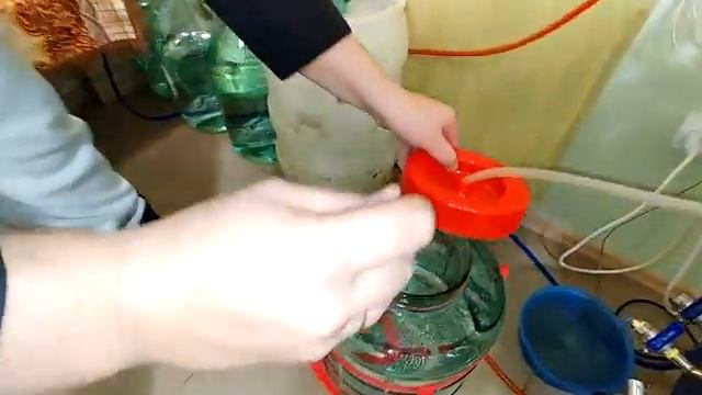 Самогон, Виски, Чача!! Как сделать в домашних условиях и в чем разница!!!