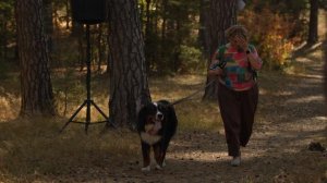 Тропа пустовского на сайт