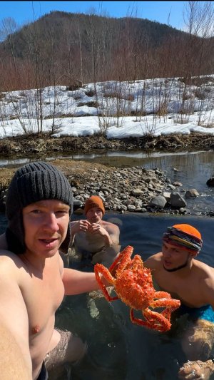 поймали краба в источнике горячем