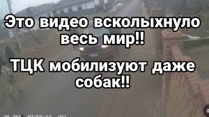 ЭТО ВИДЕО ВСКОЛЫХНУЛО ВЕСЬ МИР!!