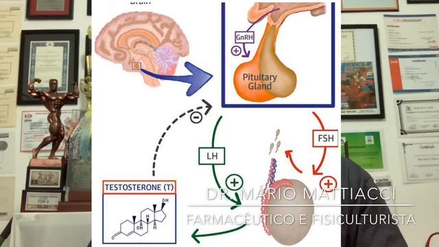 Mucuna Pruriens смотреть онлайн