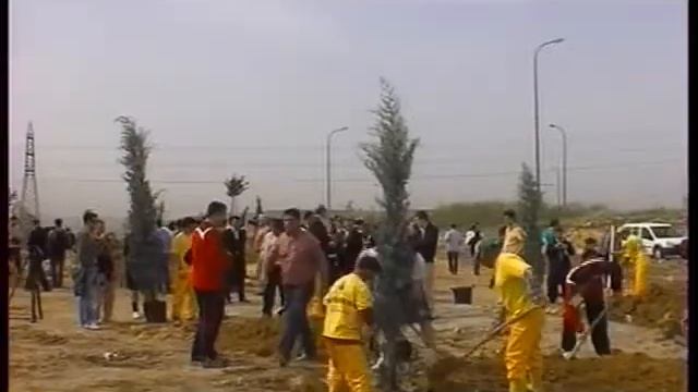 Борьба на поясах: видеосрез