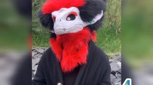 ПОМОГИТЕ С ИДЕЕЙ ДЛЯ МАСКИ РАПТОРА                                  #ФУРРИ# #РАПТОРЫ#