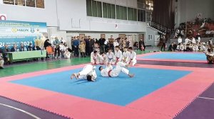 Выступление на международном турнире каратэ киокушинкай.