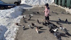 Девочка кормит голубей