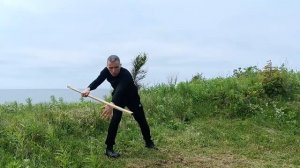 #2 Танец про красоту у моря с посохом. Под песню Димаш Кудайберген — SOS #EndlessCOMBO