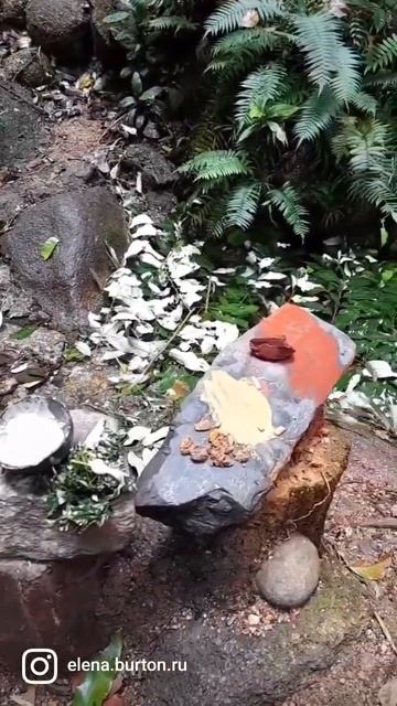 Зачем аборигены австралии рисовали на теле? смотреть онлайн