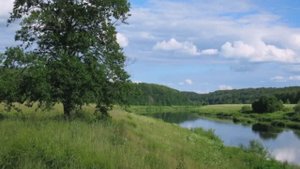 Алибек Днишев Любите Россию