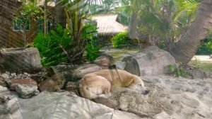 Ко Чанг  2018. 4 дня на острове.Пляж Кай Бэй.