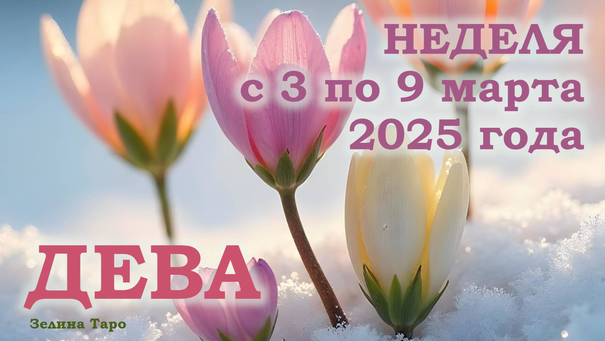 ДЕВА | ТАРО прогноз на неделю с 3 по 9 марта 2025 года