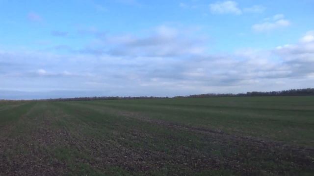 9 ноября, поездка на пруды, какая красота вокруг! смотреть онлайн