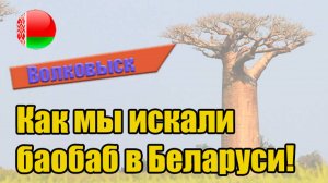 Волковыск 2024 Уникальный город в Беларуси. Места о которых не все местные знают  #беларусь #trip