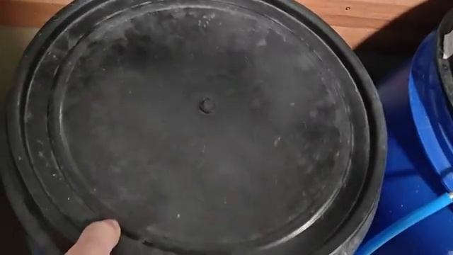 Что нужно знать о дрожжах!!! Виски в домашних условиях...