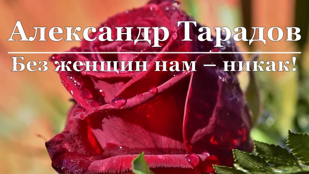 Александр Тарадов - Без женщин нам - никак! смотреть онлайн