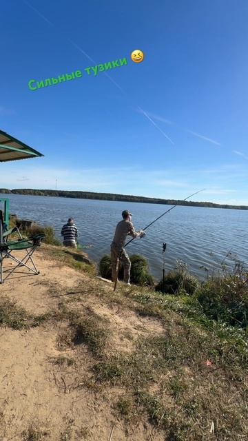 А они сильнее чем кажутся . Сильные карпики . #carpfishing #рыбалка #активныйотдых #fishing