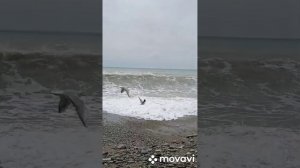 Душа