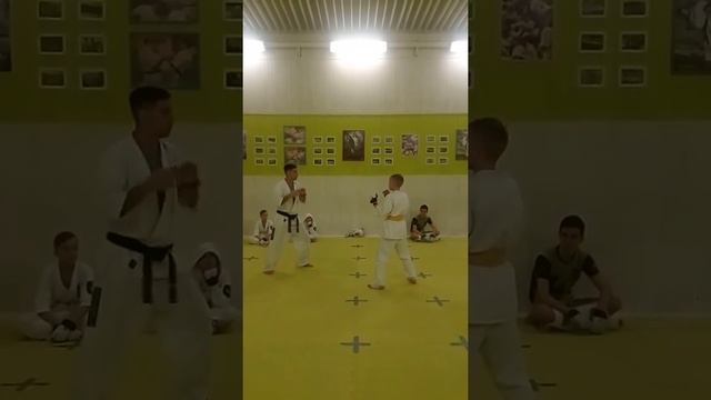 Шинкиокушинкай техника