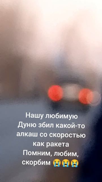 мне очень жалко её 😭😭😭😭
помним,любим,скорбим❤️