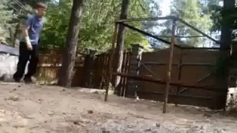 самый лучший