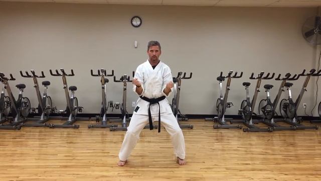 Wado-Kai Karate Austin Texas | Ahone Power Kata смотреть онлайн