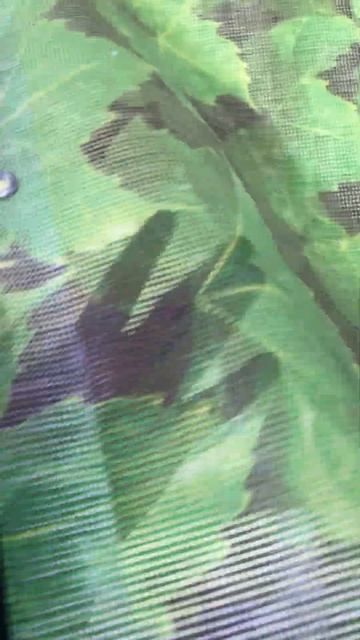 сетка фото фасад смотреть онлайн