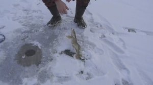 Первый лёд в 2025 г.