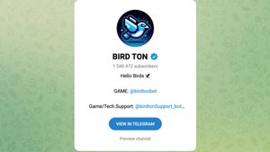 Что нужно знать о Bird Ton (Бирд Тон) - Вот почему я бы не стал уже заходить!