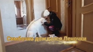 Симбочка дождался Леночки