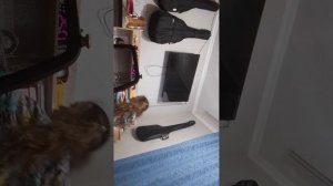 Back to school Собираем пенал