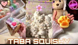 Табо сквиши