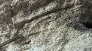 Отпуск 2024. Крым. Часть 3. Пос. Новый свет.