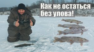 Щука не клевала, но я нашел секрет! Зимняя рыбалка на жерлицы и окунь на мормышку