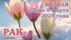РАК | ТАРО прогноз на неделю с 3 по 9 марта 2025 года