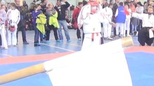 Соревнования ЦФО по косики каратэ. 2017г.