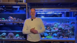 ICP ТЕСТ В МОРСКОМ АКВАРИУМЕ. ЧТО ЭТО? ЗАЧЕМ НУЖЕН?