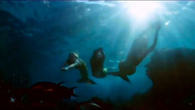 H2O JAW season 3 opening credits смотреть онлайн